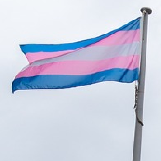 Trans flag